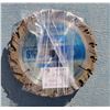 Image 1 : Saw Blades - 10 x 6-1/2" (Sharpened)
