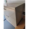 Image 2 : 3-Drawer Filing Cabinet