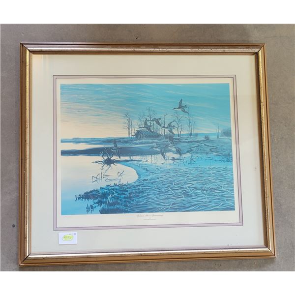 Framed Print – Golden Hour Greenwings by Don Ningewance #274/850 (31" x 27")