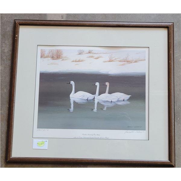 Ducks Unlimited Tundra Swans Signed Print by Ron Glowe #294/1,850 (25" x 22")
