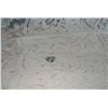 Image 1 : Ring Stamped Sterling Shank