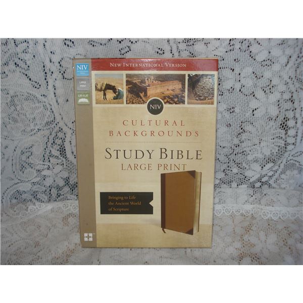 Study Bible In Box