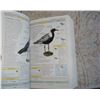 Image 4 : Nature Books