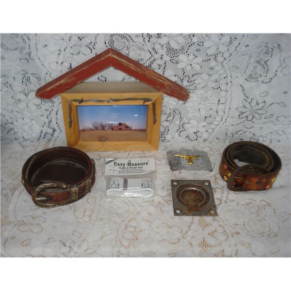 Western Themed Items  Horse Wall Tie  Buckle Etc