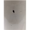 Image 5 : 5-Gal Redwing Jug, has Cracks, Chips, Hole