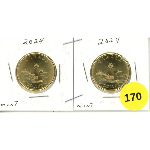 (2) 2024 Canadian Loonie, Mint