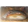 Image 5 : Agate Bookends, Petrified Wood Specimen, Metal Plant Decor, and Magnifier