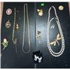 Image 2 : Costume Jewellery Lot Including Brooches, Necklaces, and Pins