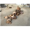 Image 3 : Live-Edge Slabs, Burl Pieces, and Character Wood Cuts