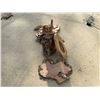 Image 4 : Live-Edge Slabs, Burl Pieces, and Character Wood Cuts