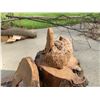 Image 6 : Live-Edge Slabs, Burl Pieces, and Character Wood Cuts