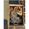 Image 7 : Approx 20 lb Assorted Natural Wood Burl and Slab Pieces