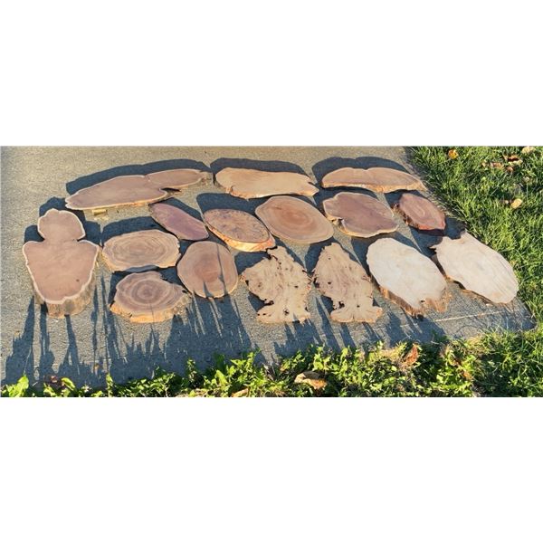 Live Edge Wood Slabs Assorted Sizes and Species