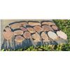Image 1 : Live Edge Wood Slabs Assorted Sizes and Species