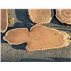 Image 2 : Live Edge Wood Slabs Assorted Sizes and Species