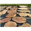 Image 3 : Live Edge Wood Slabs Assorted Sizes and Species