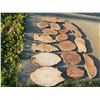 Image 4 : Live Edge Wood Slabs Assorted Sizes and Species