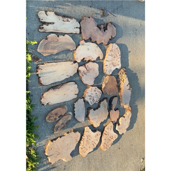 Live Edge Burl Wood Slabs and Slices