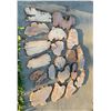 Image 1 : Live Edge Burl Wood Slabs and Slices