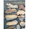Image 3 : Live Edge Burl Wood Slabs and Slices