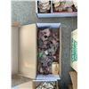 Image 3 : Thin Wood Burl Slices in Cardboard Boxes