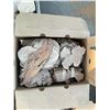 Image 5 : Thin Wood Burl Slices in Cardboard Boxes