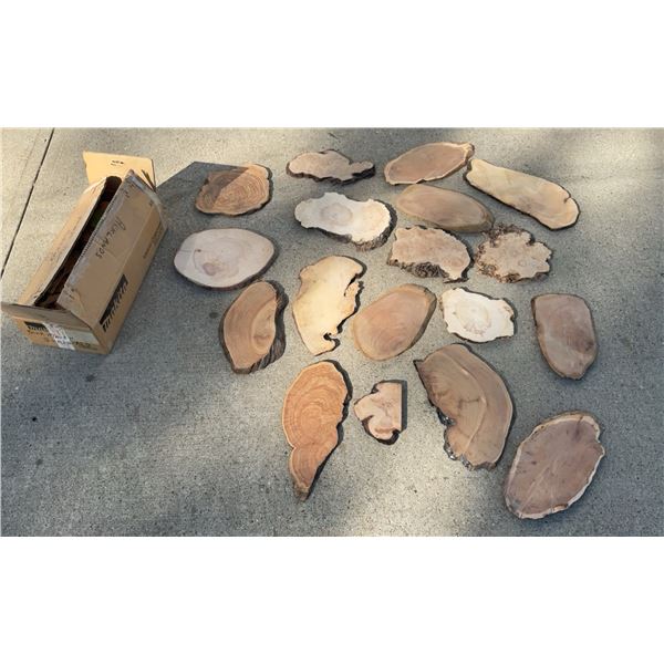 Natural Wood Burl Slices and Cutoffs