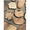 Image 4 : Natural Wood Burl Slices and Cutoffs