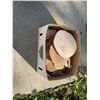 Image 5 : Natural Wood Burl Slices and Cutoffs