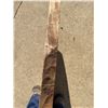 Image 3 : Large Natural Wood Slab, Nearly 20 lbs, Possibly Elm or Oak