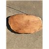 Image 4 : Large Natural Wood Slab, Nearly 20 lbs, Possibly Elm or Oak