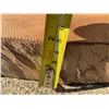 Image 5 : Large Natural Wood Slab, Nearly 20 lbs, Possibly Elm or Oak