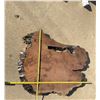 Image 8 : Large Dense Hardwood Live Edge Slab, Approx 40-50 lbs
