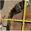Image 9 : Large Dense Hardwood Live Edge Slab, Approx 40-50 lbs