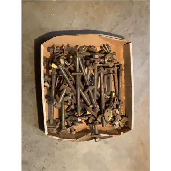 Steel Bolts and Wing Nuts