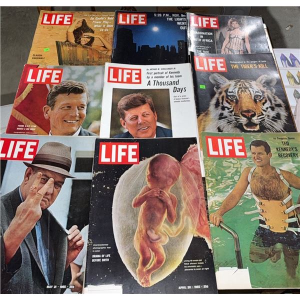 9 LIFE Magazines 1960s John F Kennedy, Ted Kennedy, Tiger Cover