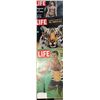 Image 4 : 9 LIFE Magazines 1960s John F Kennedy, Ted Kennedy, Tiger Cover