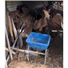 Image 1 : Building Materials and Tools Under Compound Including Wheelbarrow, Lumber, Pipes