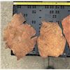Image 14 : 12 Redwood Burl Veneer Sheets, Including 3 Matched Pieces, Figured Wood Grain