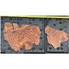Image 23 : 12 Redwood Burl Veneer Sheets, Including 3 Matched Pieces, Figured Wood Grain