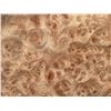 Image 2 : Maple Burl Veneer Sheets, Lot of at Least 8 Pieces, Various Sizes