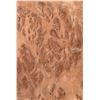 Image 12 : Approx 20 Pieces Assorted Wood Veneers, Various Species and Grain Patterns