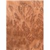 Image 5 : Approx 20 Mixed Wood Veneer Sheets Assorted Sizes and Wood Types