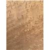 Image 6 : Approx 20 Mixed Wood Veneer Sheets Assorted Sizes and Wood Types