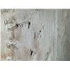 Image 2 : Birds Eye Maple Lumber in Assorted Dimensions, Rough Boards, 6–8 Feet Lengths