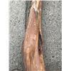 Image 3 : Yew Wood Pieces, One Rough, One Carved, Each Over 66 Inches Long