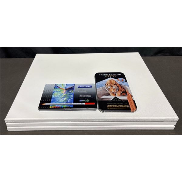 Prismacolor and Staedtler Coloured Pencil Sets With Three 16x20 in Blank Art Canvases