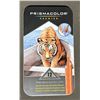 Image 4 : Prismacolor and Staedtler Coloured Pencil Sets With Three 16x20 Blank Art Canvases