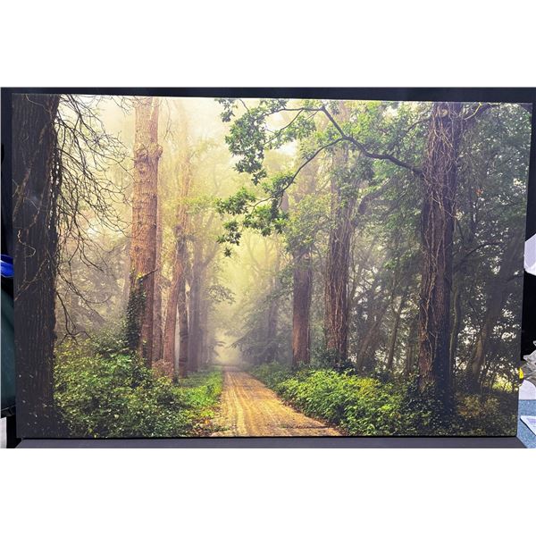 Framed Forest Path Canvas Print Wall Art