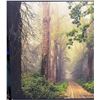 Image 2 : Framed Forest Path Canvas Print Wall Art